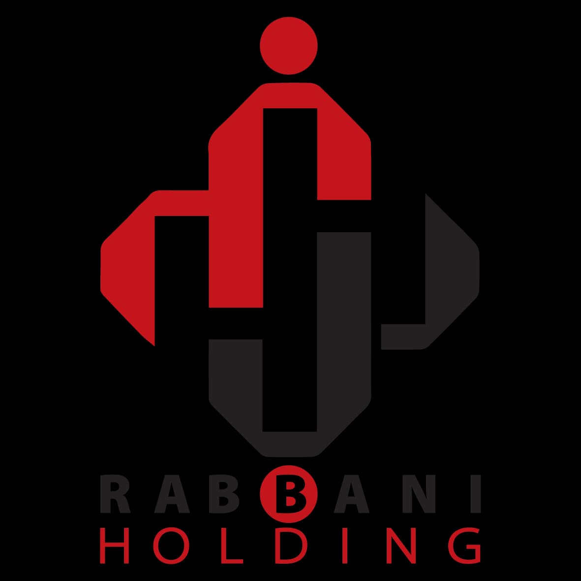 Holding Logo Image